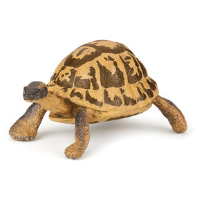 Figurine Tortue d'Hermann Papo en PVC, thème reptiles, Collection Animaux sauvages, jouet éducatif idéal pour enfants et collectionneurs
