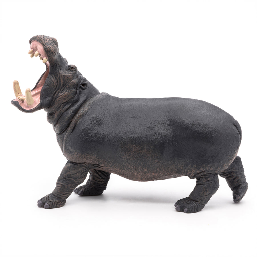 Figurine Hippopotame Papo en PVC, thème savane, Collection Animaux sauvages, jouet éducatif idéal pour enfants et collectionneurs