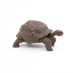 Figurine Tortue des Galápagos Papo en PVC, thème reptiles, Collection Animaux sauvages, jouet éducatif idéal pour enfants et collectionneurs