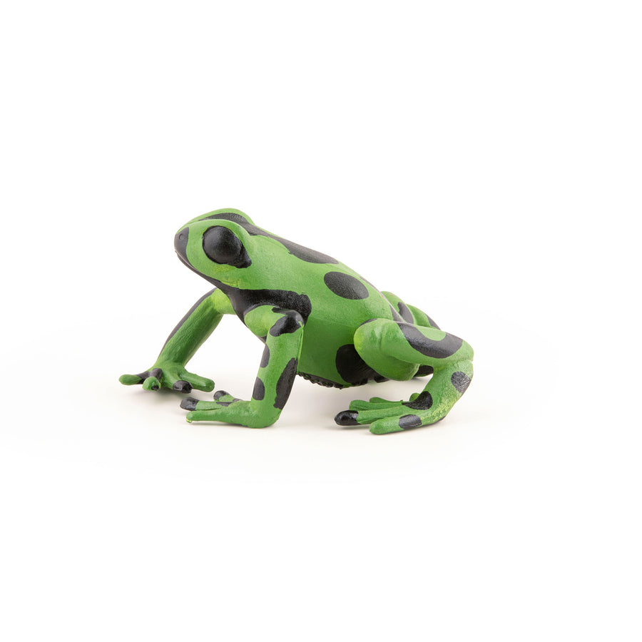 Grenouille équatoriale verte Papo en PVC, Collection Animaux sauvages, jouet éducatif idéal pour enfants et collectionneurs