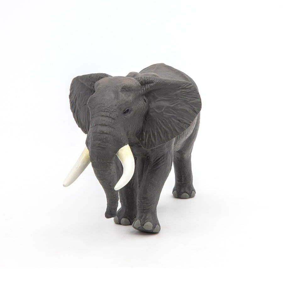 Figurine Éléphant d'Afrique Papo en PVC, thème savane, Collection Animaux sauvages, jouet éducatif idéal pour enfants et collectionneurs