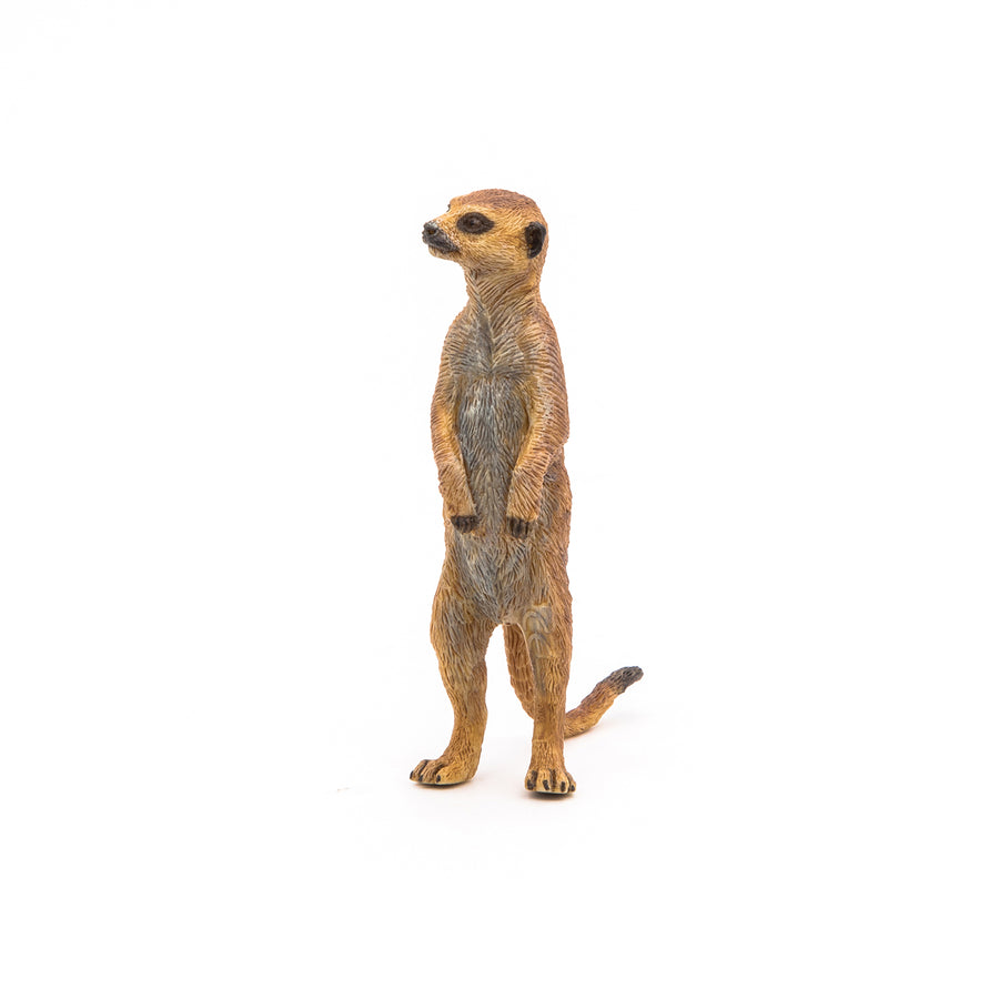 Figurine Suricate debout Papo en PVC, thème savane, Collection Animaux sauvages, jouet éducatif idéal pour enfants et collectionneurs