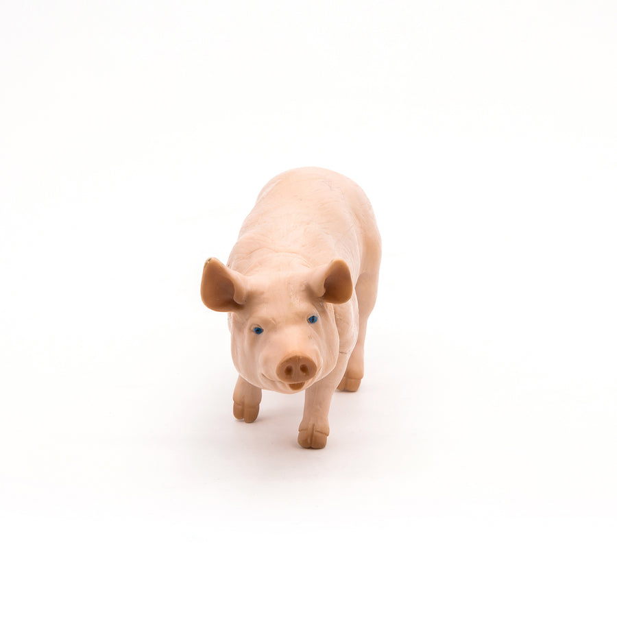 Verrat Papo en PVC, Collection Vie à la ferme, jouet éducatif idéal pour enfants et collectionneurs