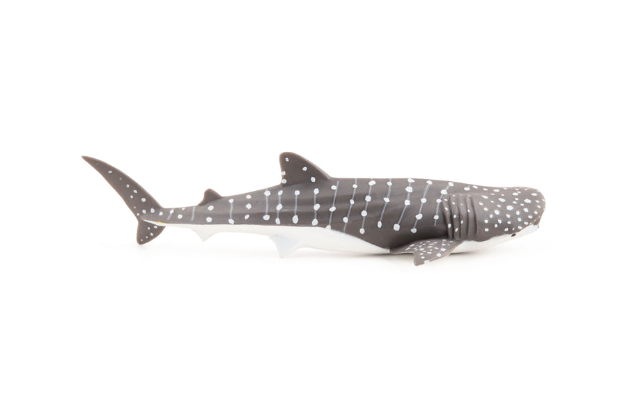 Figurine Jeune requin baleine Papo en PVC, Collection animaux marins, jouet éducatif idéal pour enfants et collectionneurs